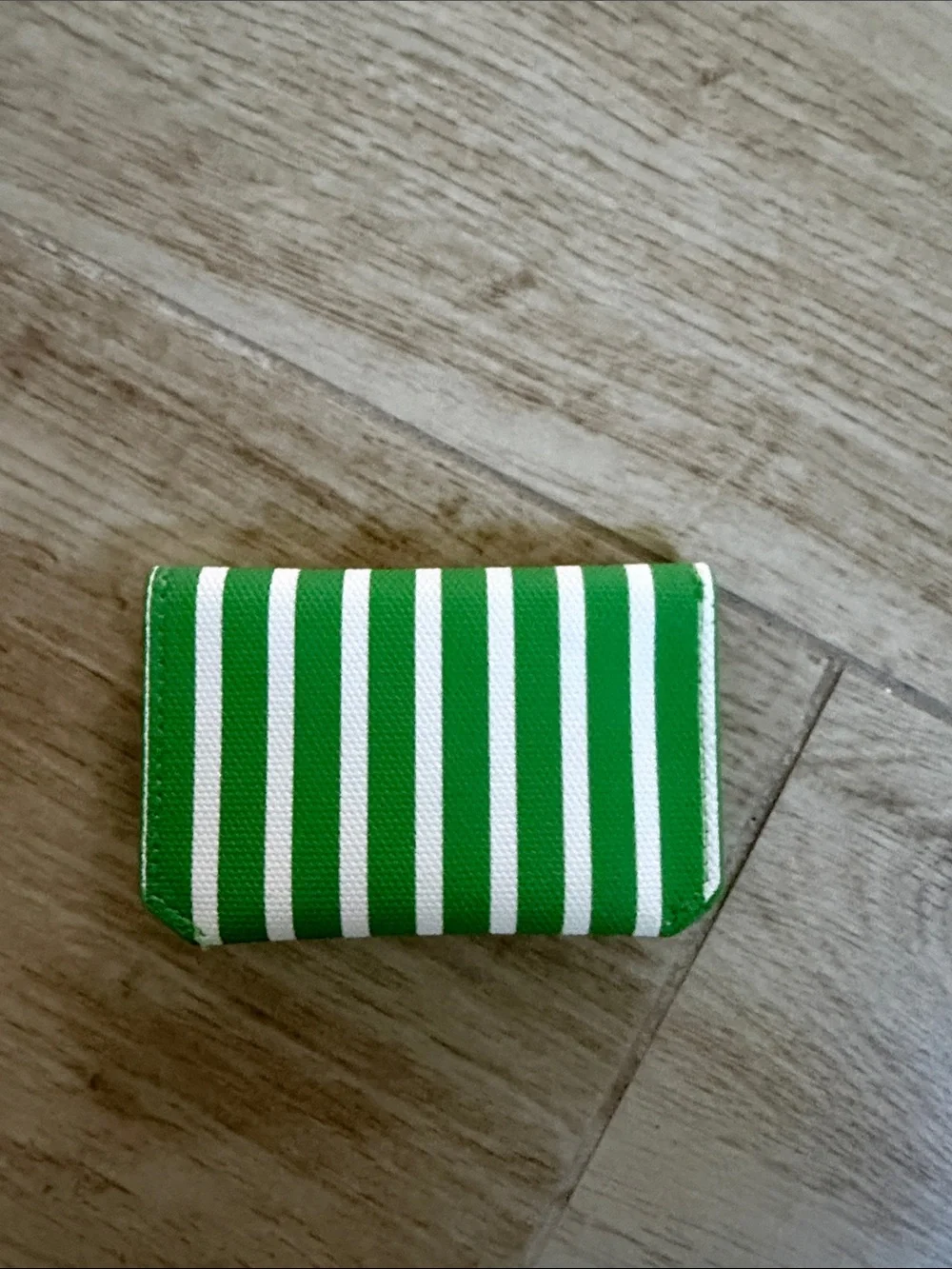 Green and White Striped Envelope Wallet - Women Bags Wallets